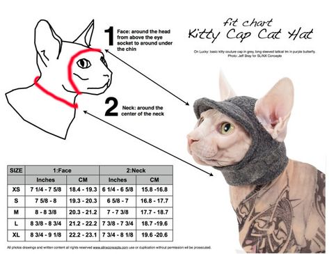 Daisy Costume Cat Hat Sphynx Cat Clothes Flower by SimplySphynx Christmas Dog Hat, Daisy Costume, Pet Clothes Patterns, Clothes Flower, Sphynx Cat Clothes, Sphinx Cat, Dog Clothes Diy, Purple Hat, Kitty Clothes