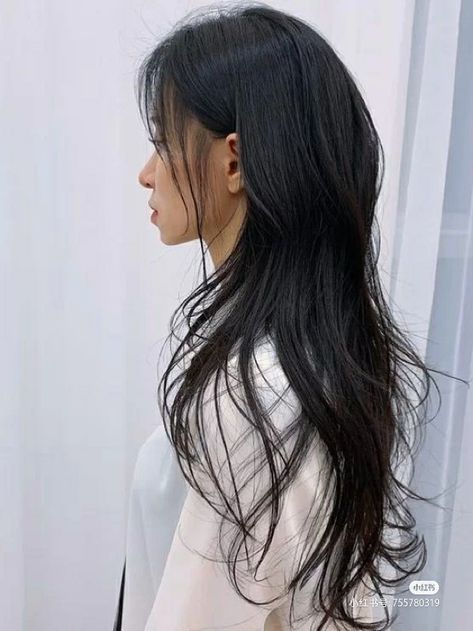 Long Wolf Cut Wavy Hair, Hershey Cut, Hush Cut Hair Long, Soft Wolfcut, Cut Wolf, Hush Cut, Cut Long Hair, Wolf Cut Hair, Long Layer