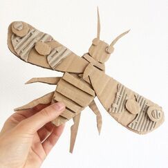 Category: Cardboard Insects! - Mrs. Castellano's Insect Craft, Cardboard Animals, Cardboard Sculpture, Cardboard Art, Insect Art, Recycled Art, Camping Art, Reggio Emilia, Cardboard Crafts