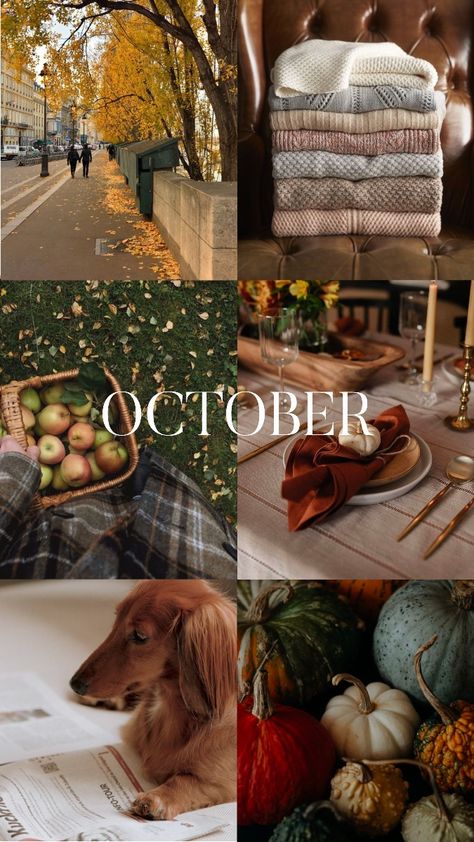 Autumn Mood Board, 2023 Moodboard, 10 October, Mood Of The Day, Fall Stuff, Planner Binder, Fall Inspo, Wallpaper Pc, Content Ideas