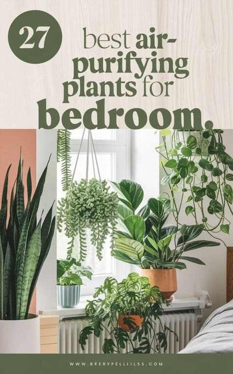 27 Best Air-Purifying Plants for Bedroom Best Plants For Air Purification, Good Bedroom Plants, Bedroom Full Of Plants, Plants In Bedroom Ideas, Bedroom Plants Decor Ideas, Bedroom Ideas With Plants, House Plants Bedroom, Bedroom Color Palette Ideas, Plant For Bedroom