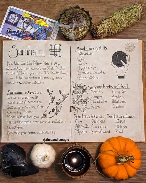 Alba Garcia (@thecandlemagic) • Instagram photos and videos Dried Thistle, Samhain Traditions, Samhain Altar, South Of Spain, Pumpkin Apple, New Years Day, Winter Solstice, Samhain, Front Doors