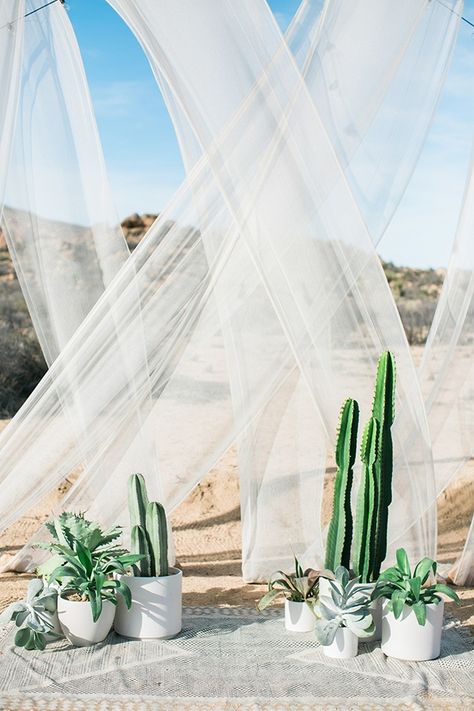 Ceremony Arrangement, Tattoo Plant, Cactus Wedding, Wedding Altars, Wedding Ceremony Backdrop, Eco Friendly Wedding, Succulent Wedding, בר מצווה, Decoration Originale