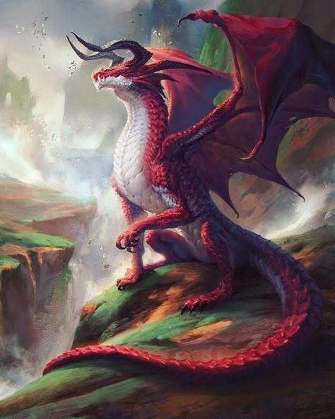 Legendary Dragons, Male Oc, Dragon Artwork Fantasy, Fantasy Beasts, Beautiful Dragon, Dragon Pictures, Fantasy Monster, Fantasy Creatures Art, Dragon Artwork