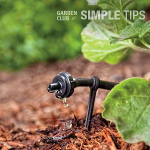 Don't Waste a Drop: DIY Drip Kits | Garden Club Drip Hose, Micro Sprinkler, Drip Irrigation Kit, Drip System, Drip Irrigation System, Vegetable Gardens, Sandy Soil, Rain Barrel, Master Gardener