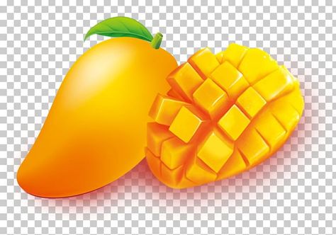 Mango Foods, Mango Illustrations, Guava Vector, Mango Embroidery, Mango Cartoon, Mango Png, Mango Clipart, Mango Images, Kids School Labels