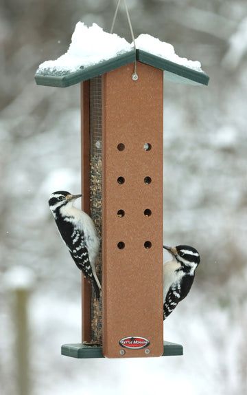 Woodpecker House, Woodpecker Feeder, Finch Feeders, Nuthatches, Squirrel Feeders, Suet Feeder, Plastic Lumber, Different Birds, Woodpeckers