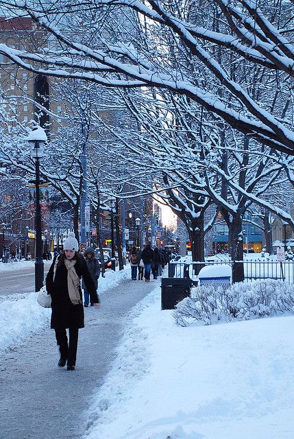 Toronto in snow! This picture reminds me of the book 'Station Eleven' so much. “Hell is the absence of the people you long for.” Winter In Toronto, Toronto Winter, Toronto City, Canadian Winter, Winter Street, O Canada, Winter Scenery, Snow Scenes, Quebec Canada