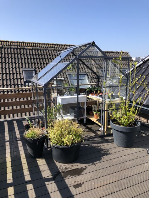 Greenhouse on the roof terrace Greenhouse On Balcony, Roof Top Greenhouse, Rooftop Greenhouse Roof Gardens, Greenhouse On Rooftop, Winter Terrace Ideas, Greenhouse Terrace, Townhouse Rooftop, Balcony Greenhouse, Rooftop Greenhouse