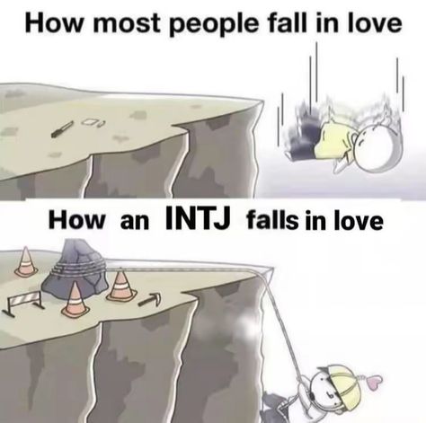 Intj In Love, Intj Characters, Intj Humor, Intj Enfp, Infj Humor, Intj T, Intj And Infj, Intj Intp, Intj Personality