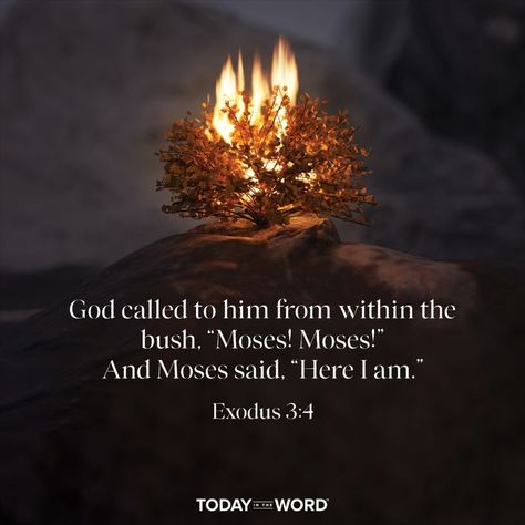 God called to him from within the bush, “Moses! Moses!” And Moses said, “Here I am.” - EXODUS 3:4 Today in the Word - a daily devotional Bible study🙏 #Christian #bibleverses The Lord Is My Refuge, Devotional Bible, Bible Stories, Daily Devotional, First Place, Bible Quotes, The Bible, Bible Study, The Lord