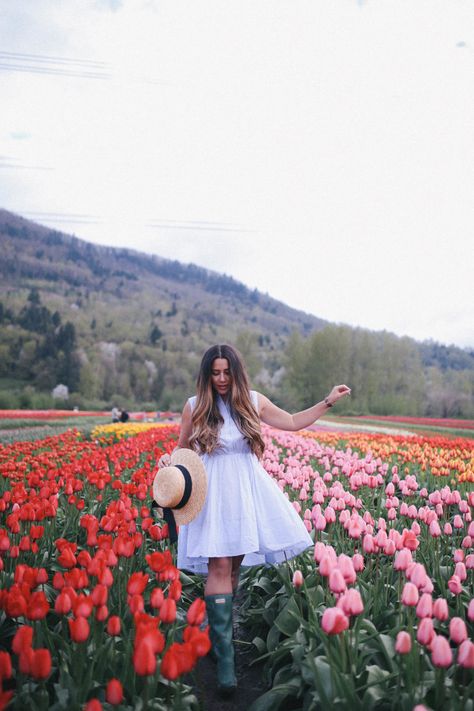 Abbotsford Tulip Festival - Alicia Fashionista Winery Outfit Summer, Tulips Holland, Abbotsford Bc, Fantastic Flowers, Wineries Outfit, Photography Tricks, Tulip Garden, Hunter Outfit, Spring Photoshoot