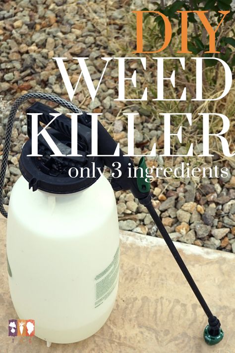 Diy Spray To Kill Weeds, Best Homemade Weedkiller Spray, Weedkiller Recipes Homemade, Home Made Grass Killer Weeds, How To Kill Weeds In Grass, Homemade Weedkiller Spray Gallon, Homemade Weedkiller Spray, Non Toxic Weedkiller Spray, Grass Killer Diy