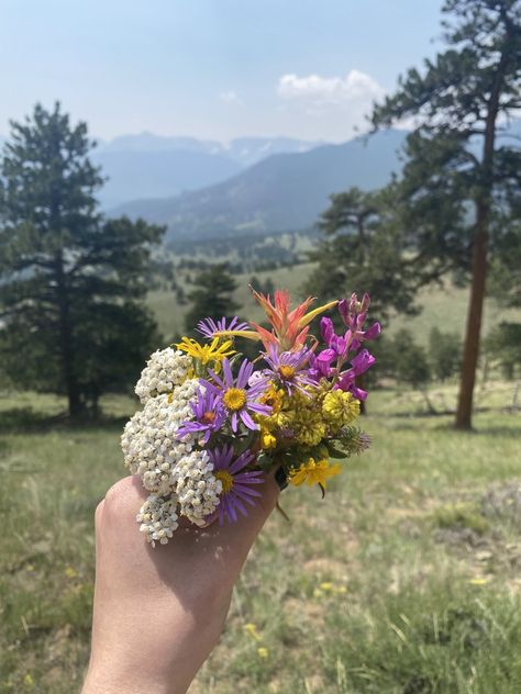 Small Wildflower Bouquet, Clay Mirror, Flower Boquet, Star Boy, Wildflower Bouquet, The Rocky Mountains, Small Bouquet, Wildflower Wedding, Spring Aesthetic