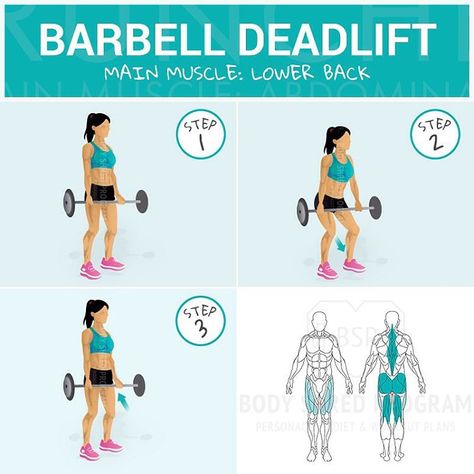 “- Double tab if you want more exercise explanations  - Barbell Deadlift Main muscle: lower back - Starting position: Bend your knees and your waist to…” Barbell Deadlift, Best Chest Workout, Fat Burning Diet, Put On Weight, Abdominal Fat, Jump Squats, Workout Guide, Burpees, Lower Back