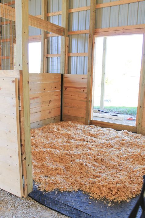 Small Horse Stall Ideas, Horse Farms Ideas, Mini Horse Stall Ideas, Horse Stall Flooring, Diy Stalls For Horses, Cow Stall Ideas, Horse Stall Ideas Diy, Barn Stall Ideas, Cow Stall