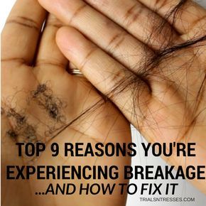 Here are the top 9 reasons you're experiencing hair breakage and how to fix it! These specifics will help get your natural hair growth back in order! African American Hair Growth, How To Prevent Hair Breakage, Hair Breakage Remedies, Afro Hair Care, Stop Hair Breakage, Breaking Hair, Natural Hair Care Tips, Natural Afro Hairstyles, Hair Shedding