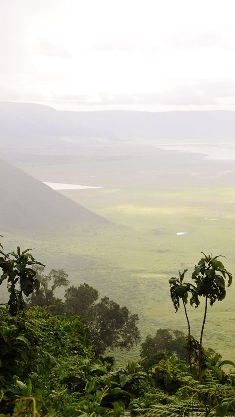 Ngorongoro, Tanzania Tanzania Landscape, Tanzania Aesthetic, Africa Landscape, Zanzibar Travel, Ngorongoro Crater, African Landscape, Durban South Africa, Tanzania Africa, Wildlife Travel