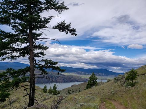 Kamloops Hike: Battle Bluffs Trail in BC, Canada Backpacking Aesthetic, Canada Bucket List, Mexico Bucket List, City Project, Kamloops Bc, Usa Bucket List, North America Travel Destinations, Hiking Photography, Camping Photography