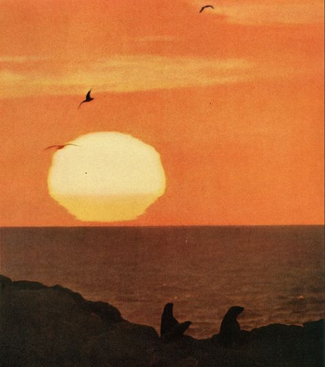 Orange Summer Aesthetic, Burnt Orange Aesthetic, Art Soleil, Vintage Sunset, Sun Setting, Vintage Film, Sunset Pictures, Sunset Photos, Color Stories