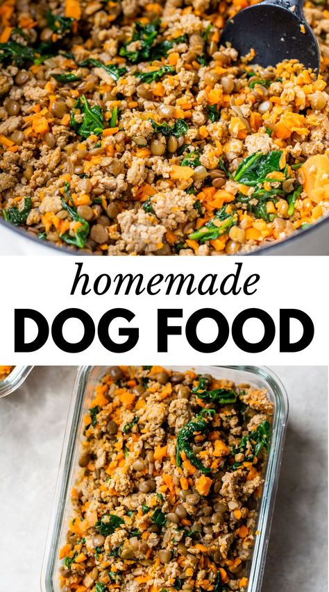 Dog Food Recipes Crockpot, Pet Remedies, Easy Dog Treat Recipes, Diy Dog Food, Make Dog Food, Healthy Dog Treats Homemade, Dog Treats Homemade Recipes, Dog Foods, Food Dog