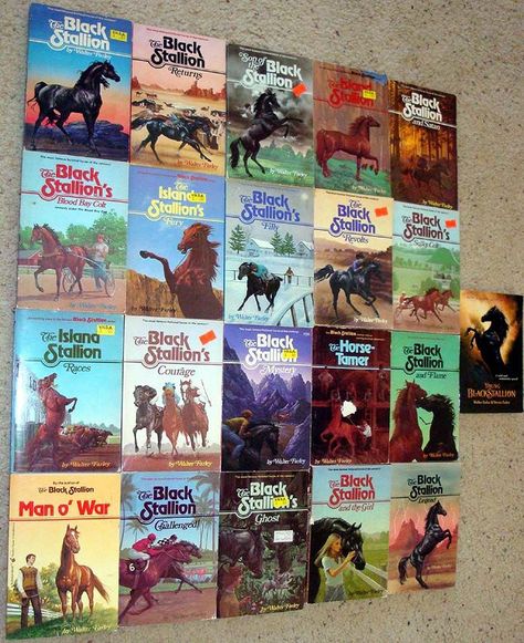 Teen Book Series, The Black Stallion, Family Library, Reading Suggestions, Book Wizard, Time To Hunt, Horse Movies, Horse Story, Horse Books