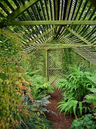 Lath House For Shade Plants @Patti Adams.  Like Daddy built at our Mesa house! Lath House, Garden Entrances, Plants That Like Shade, Shady Gardens, Orchid House, Shade House, Green Houses, Moss Covered, Potting Sheds