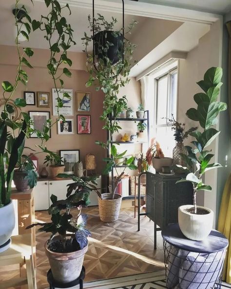 40 Indoor Plants Decor Living Room Ideas - Home Soils Plant Filled Living Room, Indoor Plants Decor Living Room, Plant Decor Living Room, Terrarium Table, Indoor Plants Decor, Pothos Vine, Decor Living Room Ideas, Hanging Herb Garden, Hanging Herbs