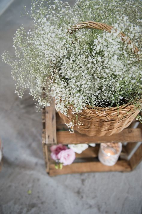 the perfect babysbreath bouquet in a basket. Wedding Decoration for a good friend of mine. Basket Centerpieces Table Wedding, Babysbreath Bouquet, Basket Wedding Decor, Fall Mini Shoot, Hamilton Wedding, Basket Centerpieces, Cafe Garden, Babies Breath, Baby S Breath