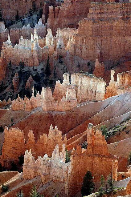 Bryce Canyon, Utah Utah Usa, Bryce Canyon National Park, Halong Bay, Have Inspiration, Bryce Canyon, Alam Yang Indah, Places Around The World, Paper Collage, Vacation Spots