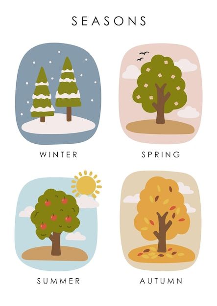 Learning Seasons Preschool, Seasons In English, Seasons For Kids, Kindergarten Illustration, Seasons Illustration, Seasons Kindergarten, Preschool Posters, Seasons Chart, Kindergarten Posters