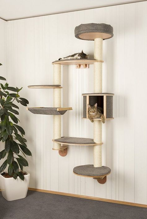 Wall Mounted Cat Tree, Diy Cat Tower, Katt Diy, Diy Chat, Katt Grejer, Kat Diy, Chat Diy, Cool Cat Trees, Cat Wall Shelves