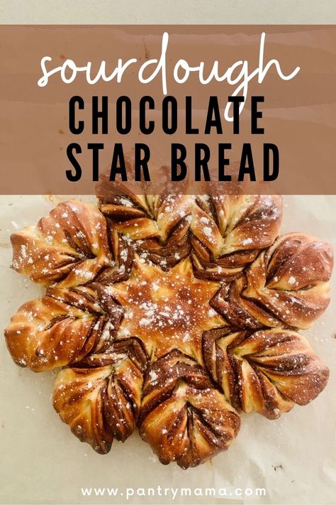 Chocolate Star Bread, Sourdough Brioche, Brioche Dough, Recipe Using Sourdough Starter, Star Bread, Chocolate Stars, Sourdough Starter Discard Recipe, Homemade Sourdough Bread, Sourdough Starter Recipe