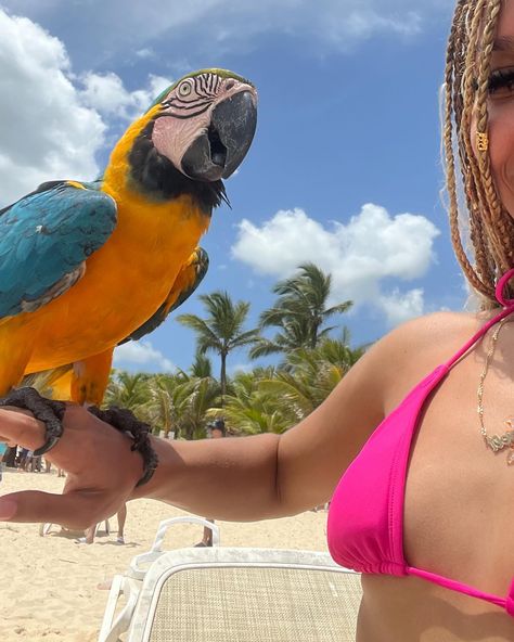 ironica 🌺 Riu Republica Punta Cana, Pink Beach Aesthetic, Punta Cana Trip, Hair Stripes, Bucket List Activities, Punta Cana Dominican Republic, Blonde Braids, Pink Beach, Yellow Bird