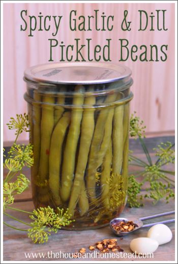 Herb Preservation, Pickled Beans, Pickle Party, Pickled Vegetables Recipe, Pickled Green Beans, Dilly Beans, Canning Pickles, Home Canning Recipes, Canning Vegetables