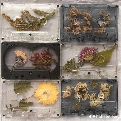 Lightning Mcqueen, Aesthetic Photo, Fall Wreath, Aesthetic Pictures, Dried Flowers, Mood Board, Decorative Boxes, Collage, Flowers