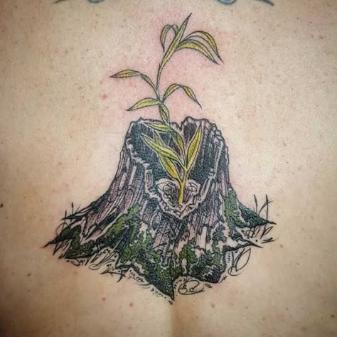 Sprouting Seed Tattoo, Tree Sprout Tattoo, Tree Sapling Tattoo, Tree Hugger Tattoo, Moss Tattoo Nature, Fresh Start Tattoos New Beginnings, Growing Tree Tattoo, Earth Inspired Tattoos, Regrowth Tattoo