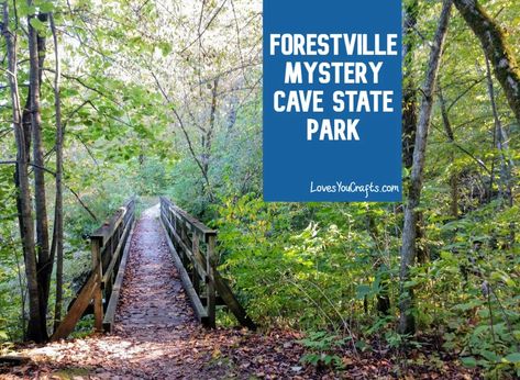 Forestville Mystery Cave State Park, Mystery Cave State Park, Minnesota Historical Society, Hiking Club, Cave Tours, Office Pictures, Beautiful Backdrops, Camping Hacks, Plan Your Trip