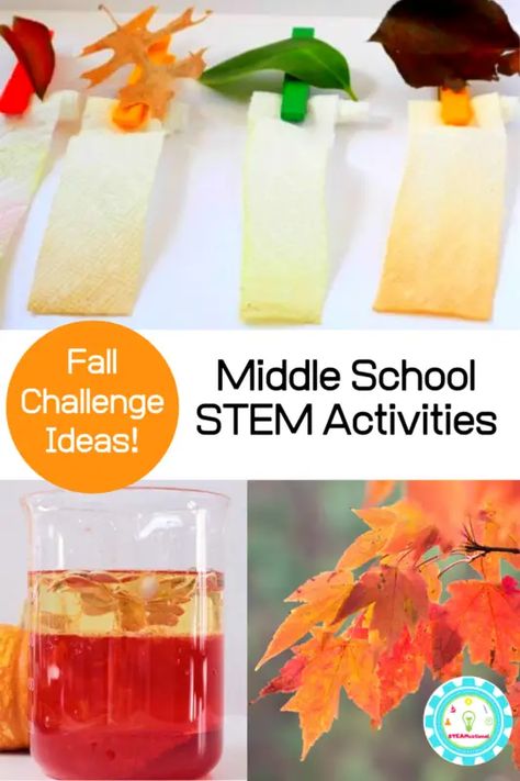 10 Hands-On Fall STEM Activities for Middle School Fall Activity For Middle School, Fall Stem Activities Middle School, Fall Homeschool Activities Middle School, Stem Projects Middle School Science, Middle School Fall Activities, Stem Activities For Middle Schoolers, Fall Crafts Middle School, Fall Activities For Middle Schoolers, Stem Challenges Middle School