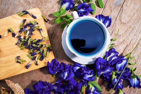 Butterfly Pea Flower Tea Butterfly Pea Flower Tea, Pea Plant, Butterfly Tea, Butterfly Pea Flower, Butterfly Pea, Pea Flower, Ocean Wallpaper, Flower Tea, Blue Butterfly