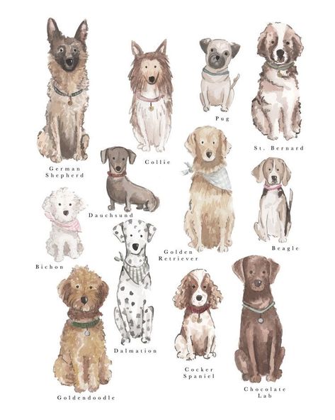 Dog Breeds Chart, Dog Collage, Dog Watercolor Painting, Watercolor And Pen, 16x20 Poster, 강아지 그림, Watercolor Dog, Dog Illustration, Print Collage