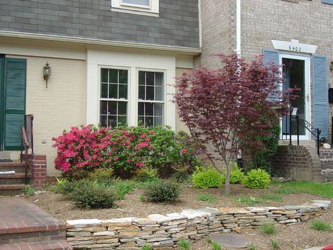 5 of the Best Townhouse Landscaping Ideas (and Pictures) for Alexandria and Arlington, VA Townhouse Front Yard, Townhouse Landscaping, Small Patio Ideas Townhouse, Patio Ideas Townhouse, Simple Garden Designs, Front Lawn Landscaping, Trees For Front Yard, Townhouse Garden, Small Yard Landscaping