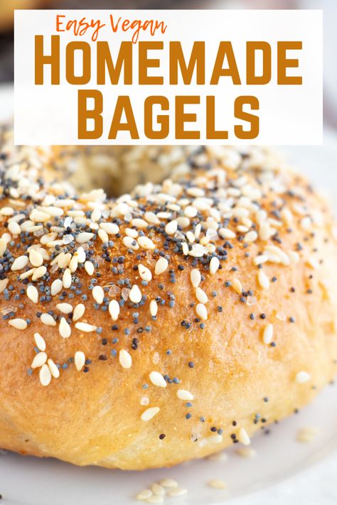 Vegan Bagel Recipe, Yeast Bagels, Bagel Recipes, Vegan Bakes, Healthy Breads, Vegan Bagel, Sesame Bagel, Baking Vegan, Everything Bagels