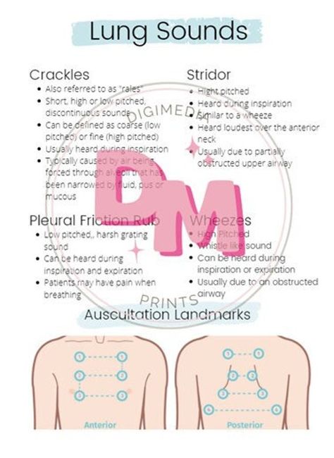 Make understanding and practicing lung auscultation and breath sounds easy with this simple, organized nursing cheat sheet. Bring this with you to class, during clinicals or on the job to aide your nursing assessments! Lung Sounds Nursing Assessment, Breath Sounds Nursing, Lung Abscess Nursing, Lung Assessment Nursing, Nursing Clinical Cheat Sheet, Fundamentals Of Nursing Cheat Sheets, Capnography Cheat Sheets, Lung Sounds Cheat Sheet, Respiratory Nursing Cheat Sheets