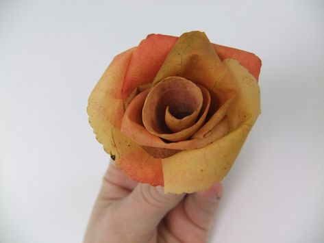 Salmon pink autumn leaf rose Diy Maple Leaf, Leaf Roses, Fall Crafts Decorations, Oncidium Orchids, Floral Magnets, Pink Autumn, Rose Clutch, Pre Christmas, Rose Stem