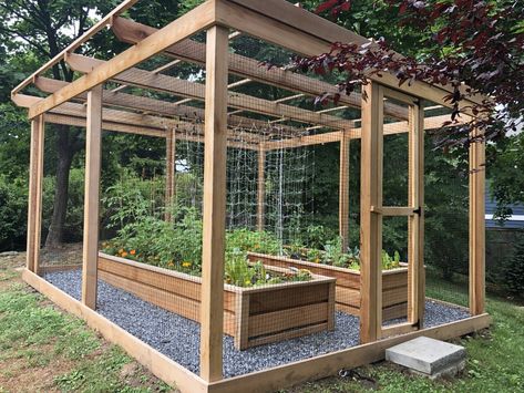 Animal Proof Garden, Enclosed Garden Structures, Garden Enclosure Ideas, Rose Garden Landscape, Garden Fence Panels, Garden Solutions, Garden Oasis, Vegetable Garden Design, Perennial Garden