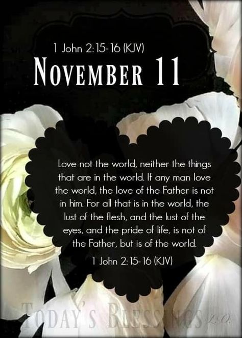 November 11 Blessings, November 11 Quotes, November Prayer, November Scripture, November Blessings, November Images, November Morning, Welcome November, November Quotes