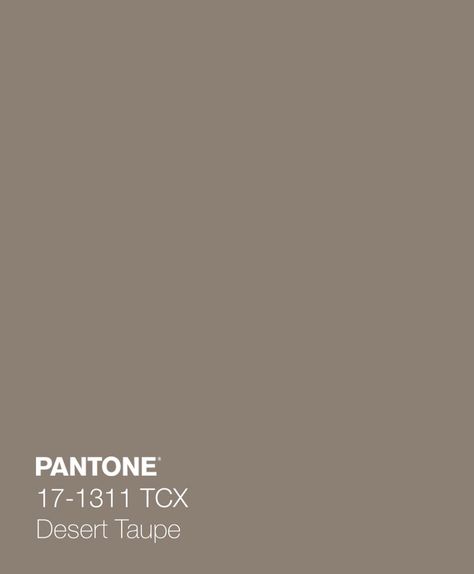 Taupe Aesthetic Wallpaper, Beige Tones Colour Palettes, Taupe Pantone, Taupe Aesthetic, Pantone Brown, La Color, Ash Brown Color, Earth Tones Paint, Brown Pantone