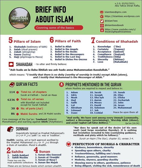 How To Read Quran, Muslim Words, Books On Islam, Tafsir Coran, Prophets In Islam, Best Islamic Books, Islam Lesson, Quran Tafseer, Pillars Of Islam