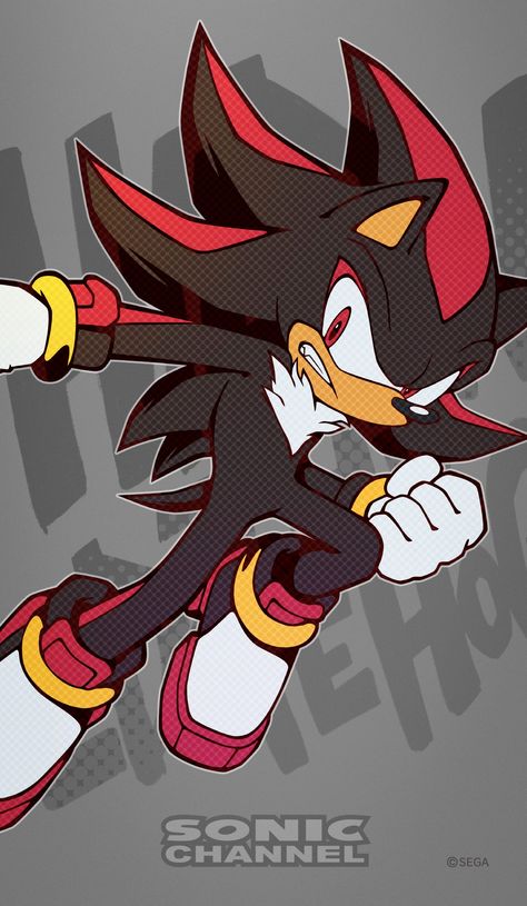 Sonic Channel Gallery, Sonic Twitter, Sonic The Hedgehog Wallpaper, Hedgehog Wallpaper, Black Sonic, Sonic Channel, Edgy Boy, Big The Cat, The Hedgehog Sonic